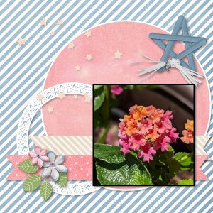 Lantana - Use It All Challenge July 2021