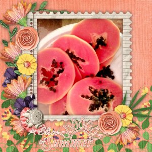 Slice of summer