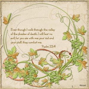 Psalm 23:4