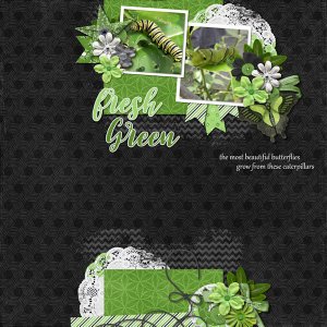 PC Green Apple