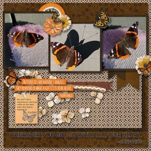 Butterfly Garden Kit