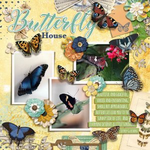 Butterfly House