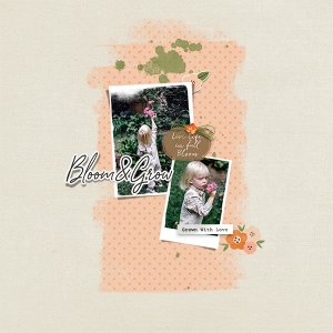bloom and grow