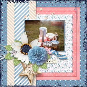 Picnic