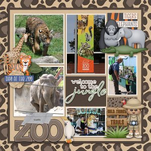 Seattle-Zoo-copy