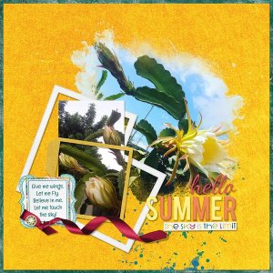 Summer Night Bloomers