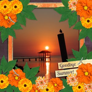 Goodbye Summer!