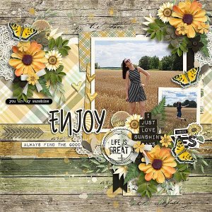 Sunflowers