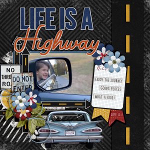 Life-Is-A-Highway2