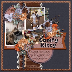 Comfy Kitty