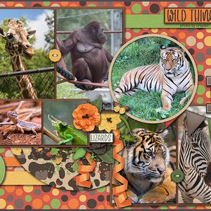 ANIMAL KINGDOM
