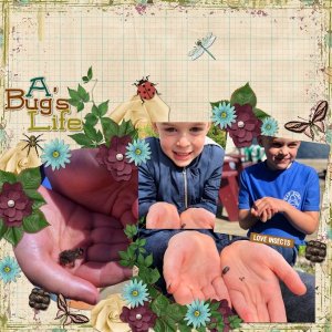 Loving Bugs