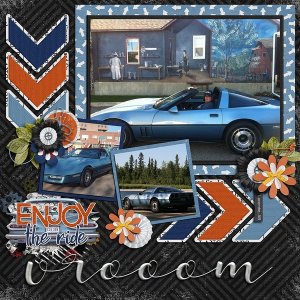vroom Enjoy the Ride