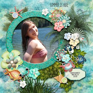 Summer Is Here