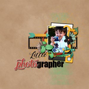 Little Photographer