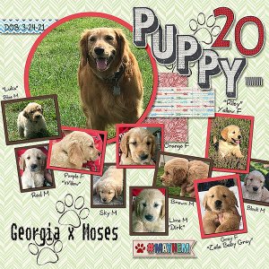 GSTempCh1-July2021-Puppygeddon2021-L