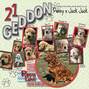 GSTempCh1-July2021-Puppygeddon2021-R