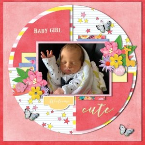 Baby Girl Shower
