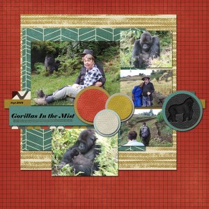 Gorillas In the Mist