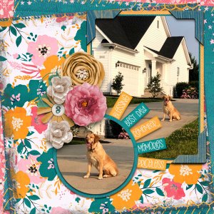 Your best life by Chere Kaye