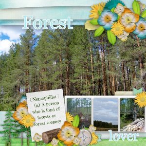Forest lover
