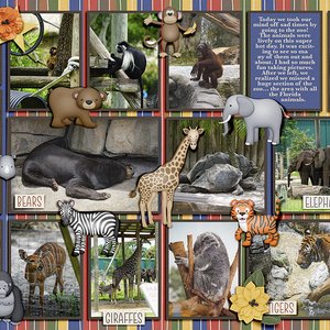 Zoo Tampa