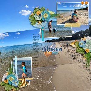 Vitamin Sea