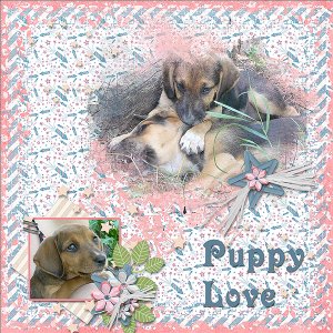 Puppy Love