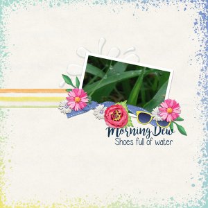 07-daily-download1