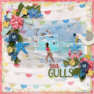 Sea Gulls