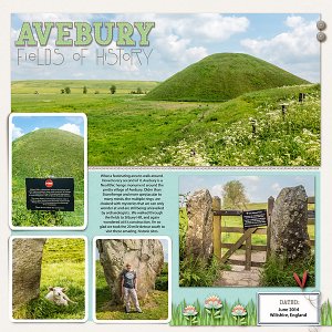 Fields of History