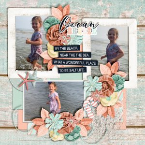 Ocean-Breeze6