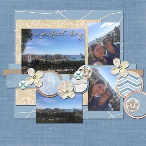A Perfect Day