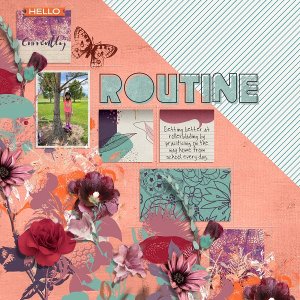 Routine
