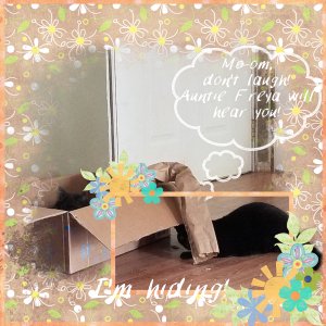 I'm Hiding!