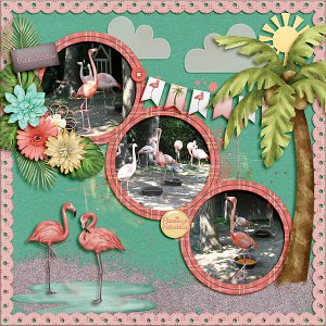 Flamingo Fabulous