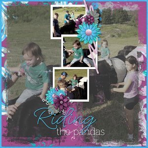 Riding the Pandas