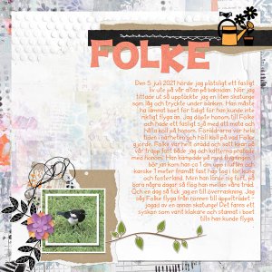 Folke