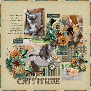 Cattitude