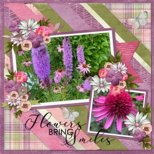 Summer Flowers