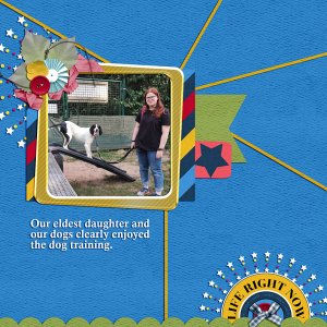 dog training