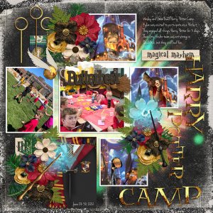 HP Camp