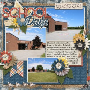 Life Chronicled: School Days