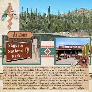 Saguaro NP