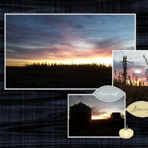 Harvest Sunset