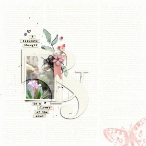 Delicate