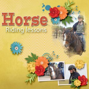 Horse riding lessons