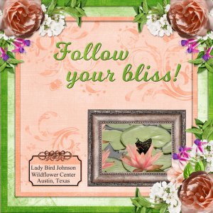Follow your bliss!