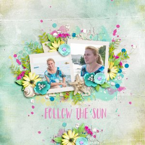 Follow the Sun