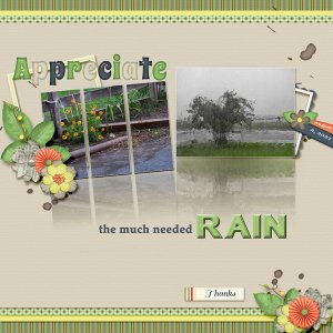 rain_small1